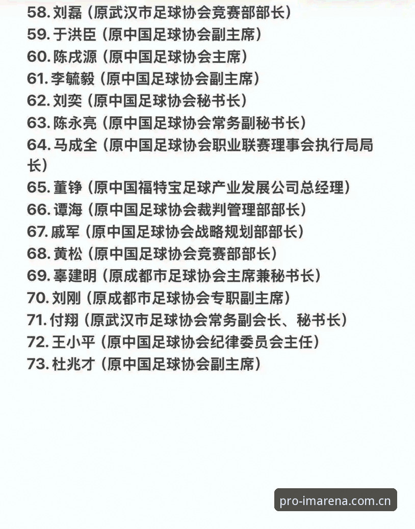 中国足协第三批禁足名单详解：17人终身禁赛，48人遭重罚