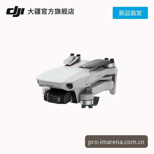 im电竞下载实用指南：新手入门必备知识与技巧全解析